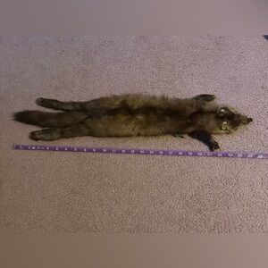 VINTAGE FULL MINK BOA WRAP STOLE COLLAR WITH CLOSURE Missing One Eye pelt